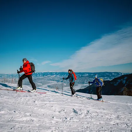 アパート Wohlfuehlplatzerl Am Klopeiner ウンテーブルク・アム・クロッパイナー・ゼー